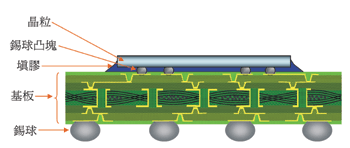 《圖一  Flip chip BGA切面圖〈資料來源:圖片提供：日月光〉》