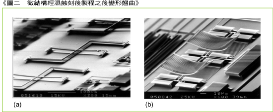 《圖二　以monolithic方式整合之微機電系統裝置（PEL IR sensor）》