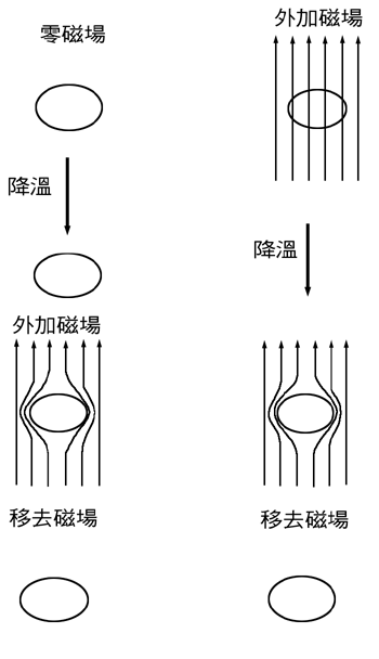 《圖二 超導體的反磁性特性》