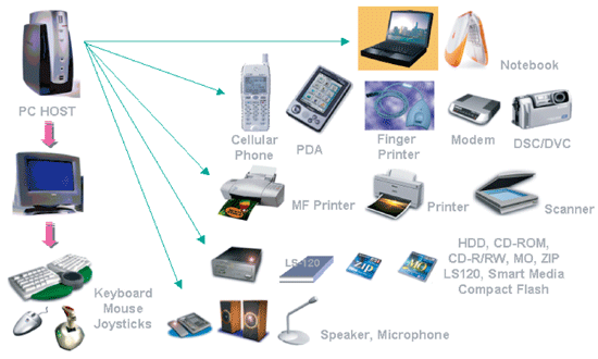 《圖一　USB與Mini-USB》