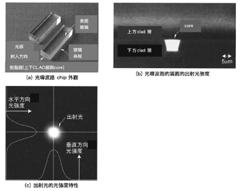 《圖六　聚合物製成的光導波路》