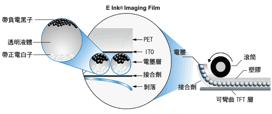 《圖二 電泳顯示技術為一種微型膠囊電泳的材料，而這是一種在微型膠囊內的特殊電泳溶液裡，存在著許多懸浮的帶電粒子 [2]》