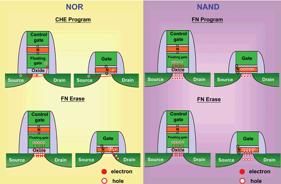 《圖十一　NOR和NAND Cell 資料寫入與抹除機制示意圖 》