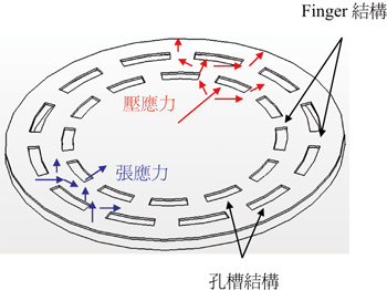 《圖十三　應力消除結構示意圖》