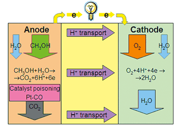 《圖八　直接甲醇燃料電池工作原理示意圖》