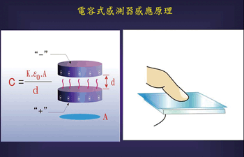 《圖十一a　電容式感測器感應原理示意圖 》