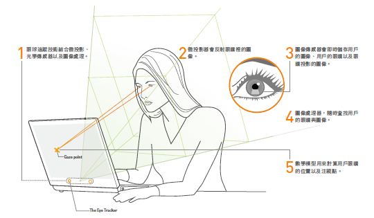 圖一 : 眼球追蹤原理（圖／Tobii）