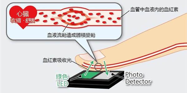 圖2 : 脈搏監測IC的構造