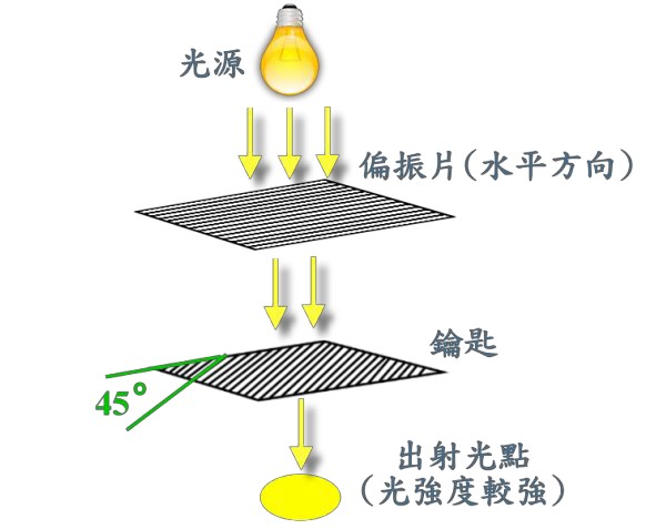 圖5 : 偏振片夾角 45°出射光較強之示意圖