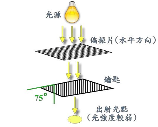 圖6 : 偏振片夾角 75°出射光較弱之示意圖
