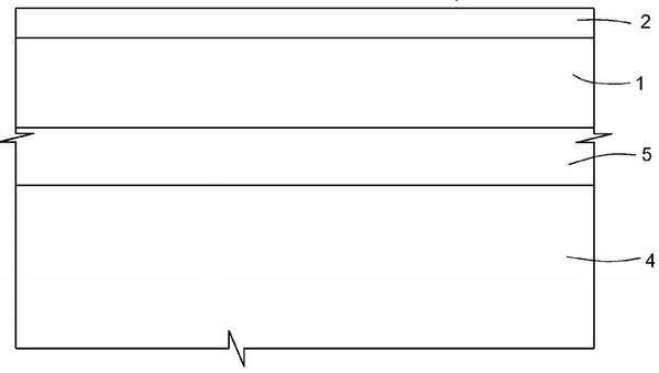 圖四 : 碳化矽晶圓的剖面圖。(Source：美國專利US8183573B2)