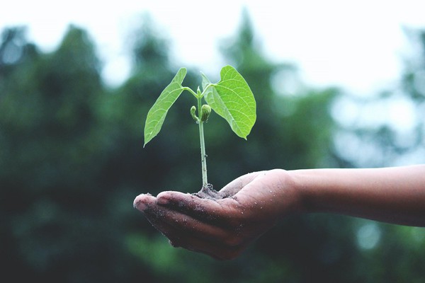 圖三 : 半導體的製造成本十分高昂。不僅用水用電量大，還會產生有害廢棄物，整體供應鏈必須致力解決這個問題，而且需要從生態系統的角度出發。