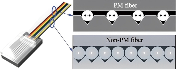 圖五 : 用於光輸入的保持偏極光纖和用於光輸出的非保持偏極光纖的混合封裝。（source：《Co-packaged optics (CPO): status, challenges, and solutions》）