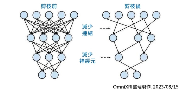 圖3 : 模型剪枝示意圖[3]。