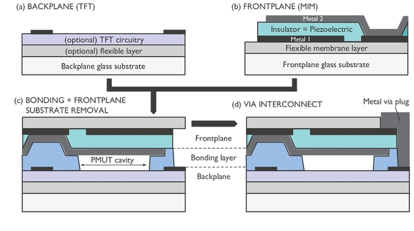 圖二 : 壓電式微機械超音波換能器（PMUT）製程的截面示意圖：（a）選配薄膜電晶體（TFT）和／或彈性層的背板；（b）包含金屬—絕緣體—金屬（MIM）堆疊的前板；（c）把前板接合至背板，並移除前板；（d）金屬穿孔導線，以建立前板與背板之間的電性連接。