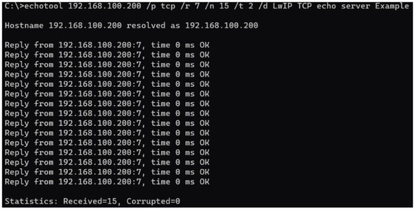 圖八 : TCP Echo 伺服器輸出內容