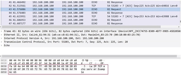 圖九 : Wireshark 程式中的TCP Echo 伺服器輸出結果