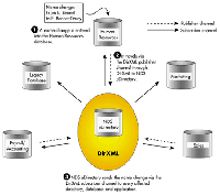 網威(Novell) DirXML(圖片來源︰Novell網站)