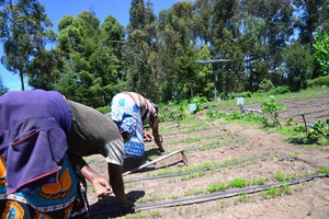 美國新創廠商SunCulture推出的AgroSolar Irrigation System太陽能灌溉系統，該設備利用太陽能轉化為電力，協助肯亞農民得以有效利用水資源灌溉農地。（圖片來源：SunCulture提供）