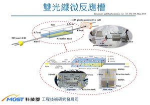 「雙光纖微反應槽」技術由兩根光纖搭配3D列印的感測槽，並以低成本的電子零件組裝，即可進行即時性的偵測，這是世界上首次從一般貓砂就可以偵測貓腎病的獨創技術。