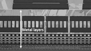 (TSMC)